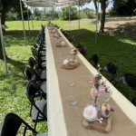 décoration baptême fille